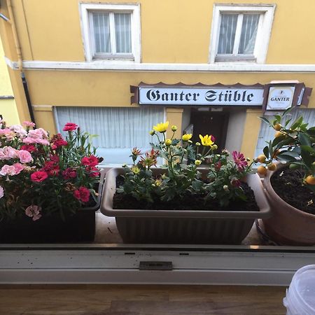 Homestay Waldshut-Tiengen Eksteriør billede