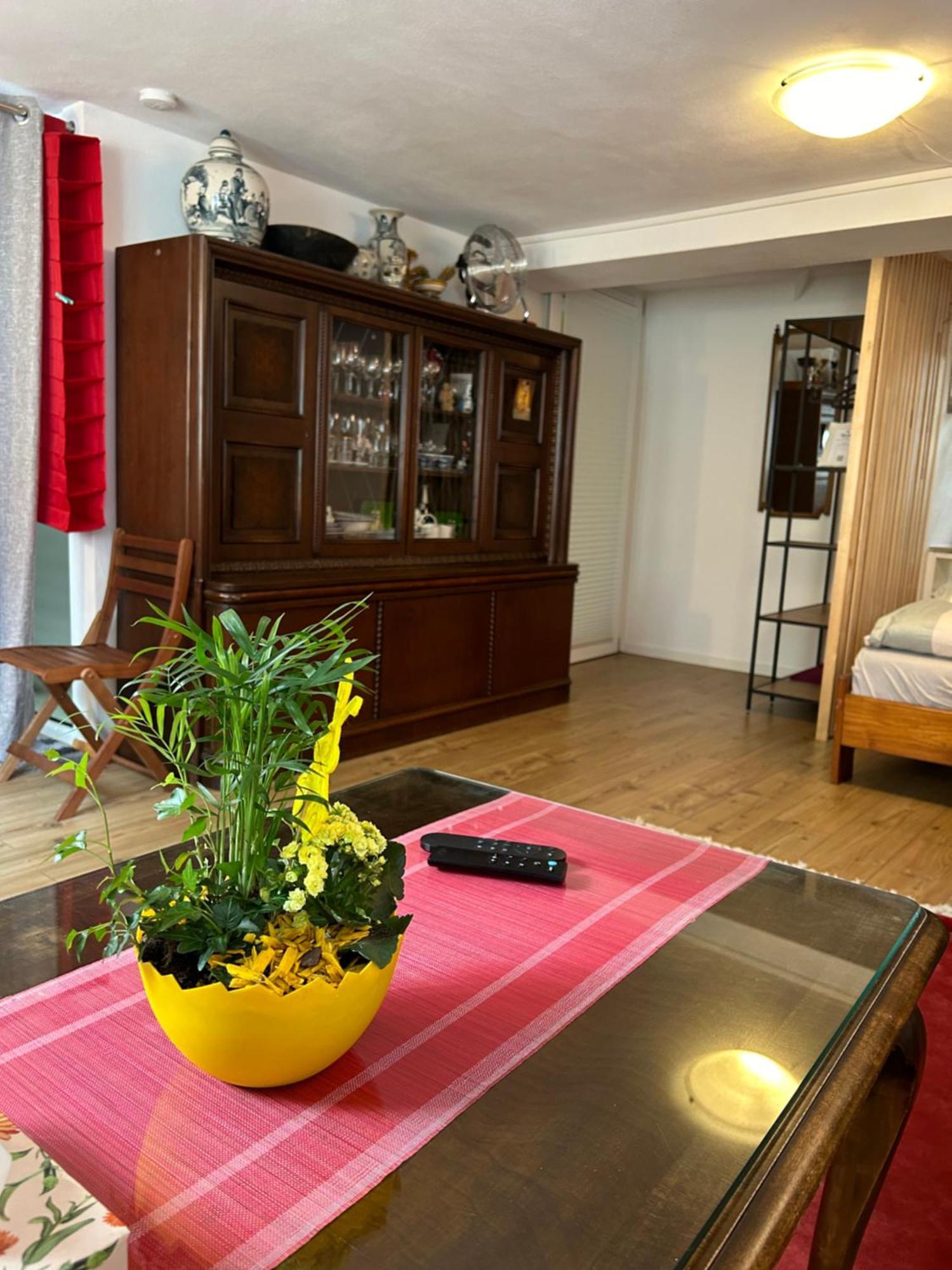 Homestay Waldshut-Tiengen Eksteriør billede